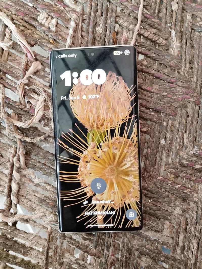 Google Pixel 6 Pro 1