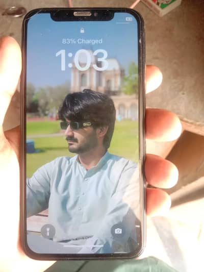 Apple iPhone X