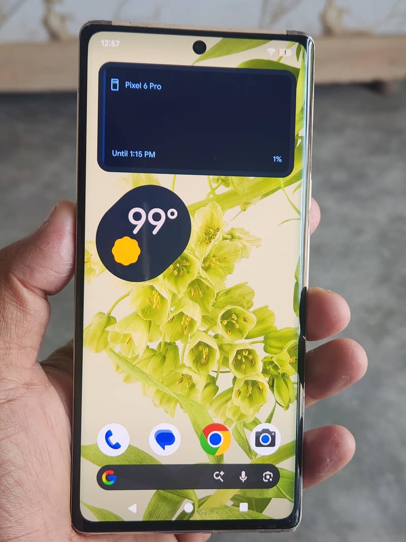 Google Pixel 6 Pro 0