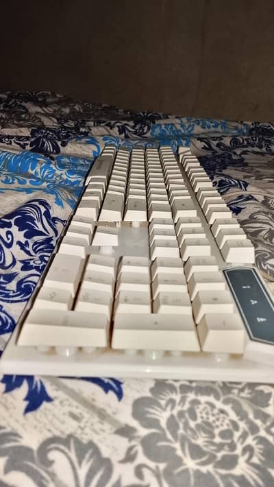 gaming keyboard RGB lights red green purple