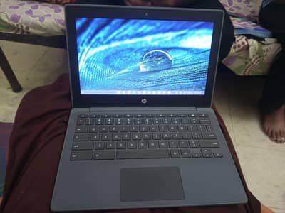 hp chromebook