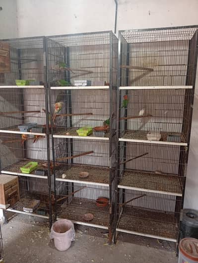 cages for sale