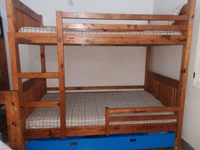For Sale Premium Solid Diyaar Wood Bunk Bed