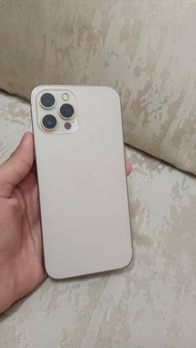 Apple iPhone 12 Pro Max