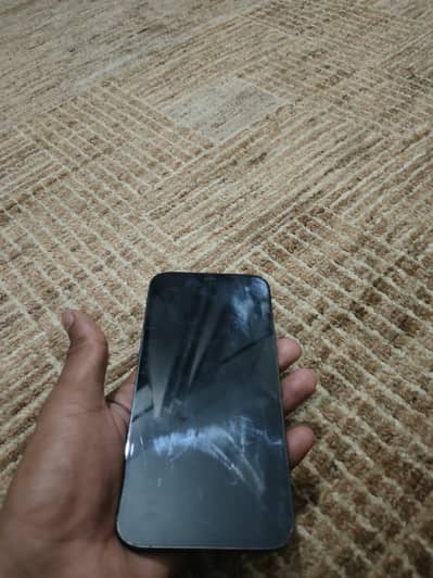 Apple iPhone 12 Pro Max