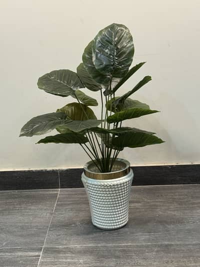 Artificial plants / 03227614339