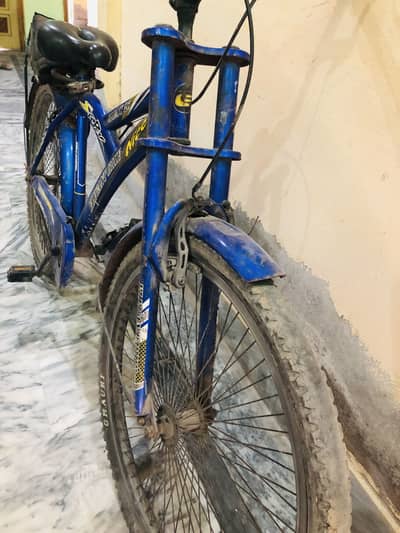 Super Elegant bicycle