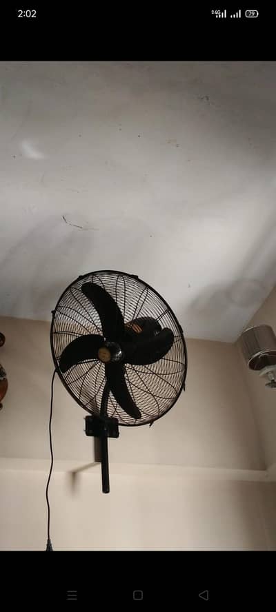 royal fan