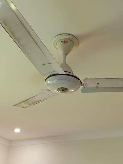 Ceiling Fan for sale