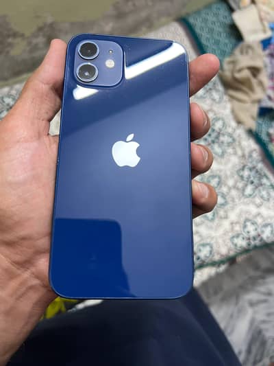 Apple iPhone 12 Chance piece