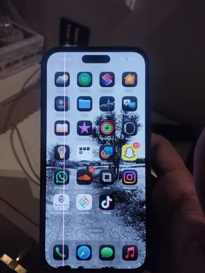 Apple iPhone 15 Pro Max