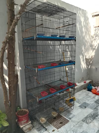 8 portion zarrar cage