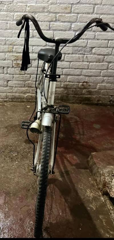 japani cycle coconut