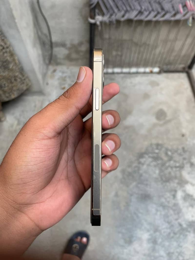 Iphone 12 pro 6