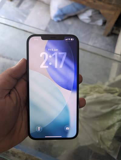 Apple iPhone 12 Pro Max