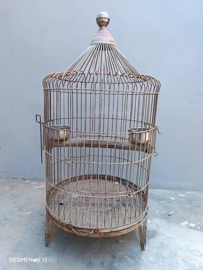 Cage for Grey parrot, Macaw, Pahari & Green Parrot.