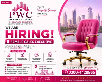 Sales Executive