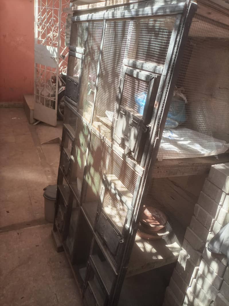 hen cage 1