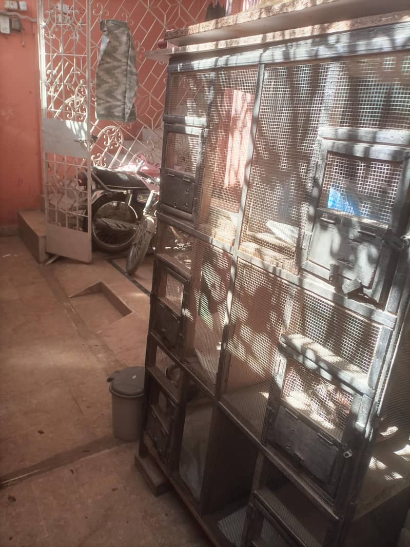 hen cage 2
