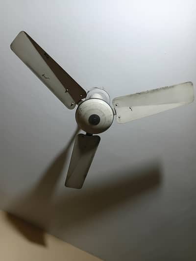Royal ceiling Fans for sale