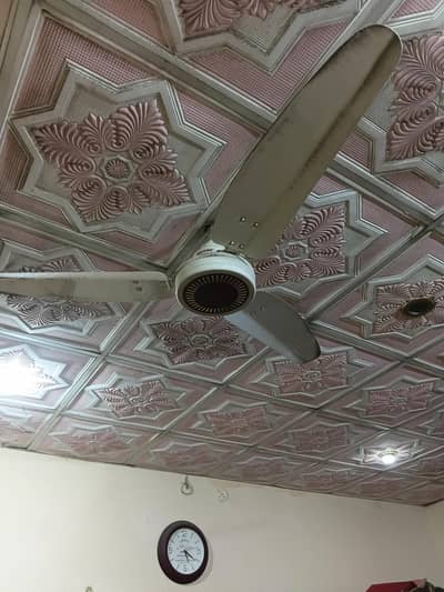 Royal ceiling Fans for sale