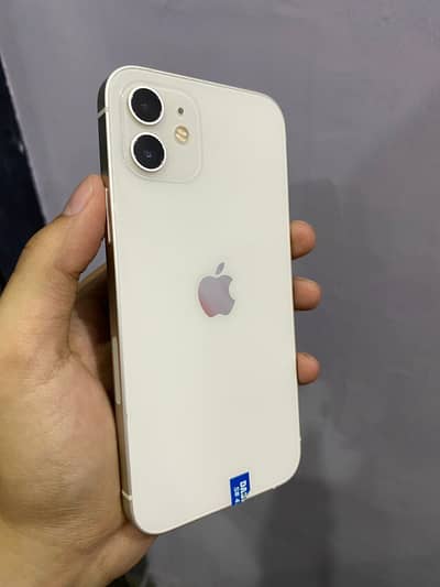 Apple iPhone 12