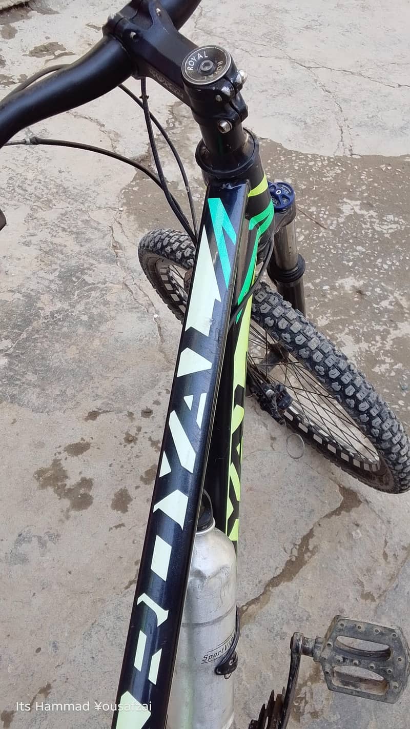 Bicycle 6