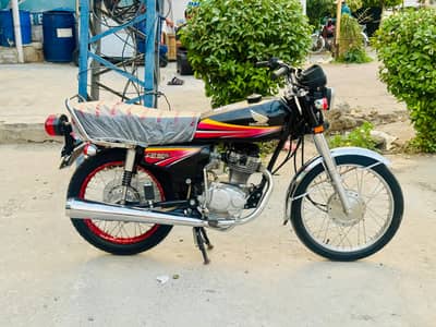 2011 model lush bike Non euro
