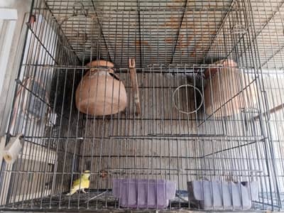 2 portion cage for sale and sath cocktail pure kikr box