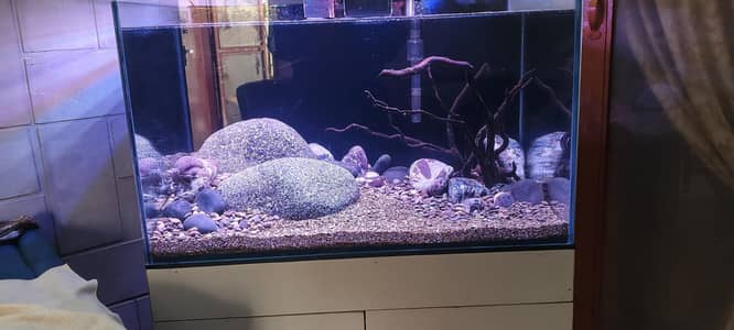 aquarium complte setup