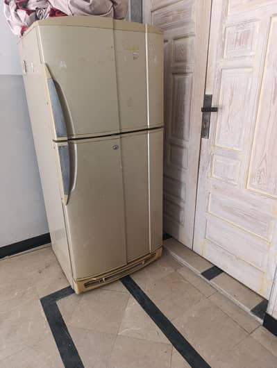 PEL Fridge