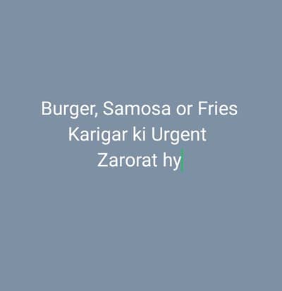 Burger, samosa, Fries  karigar