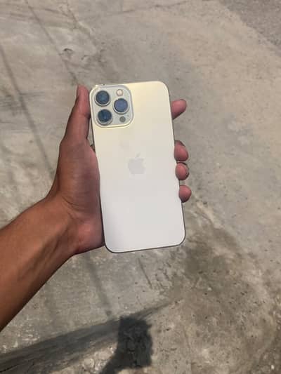 Apple iPhone 13 Pro Max
