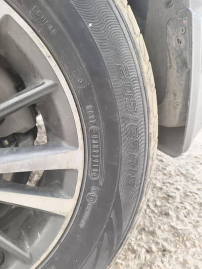 Dunlop Tyres