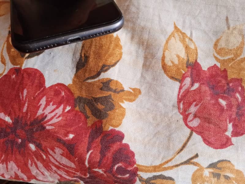 IPhone 11 4