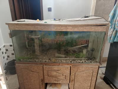 Fish aquarium for sell