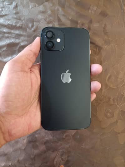 Apple iPhone 12