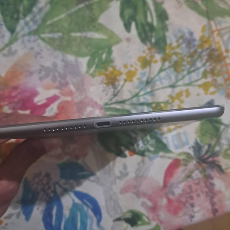ipad mini 4 2