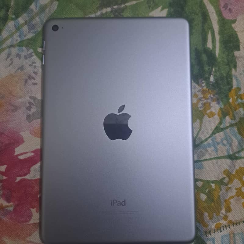ipad mini 4 3