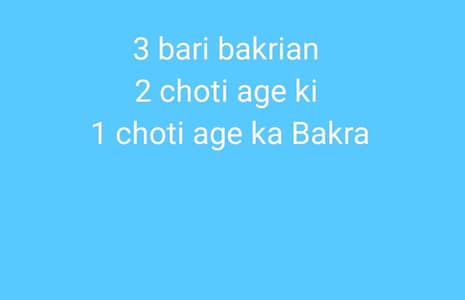 3 Bakrian 3 unke bachy