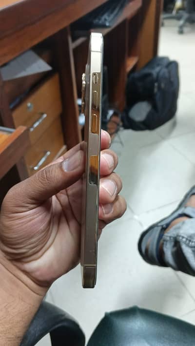 Apple iPhone 12 Pro Max