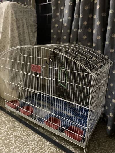 Birds cage