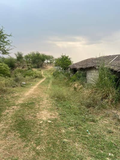 196 Kanal Farm, Food Forest, Dairy Shed & Wilderness Estate for Sale |