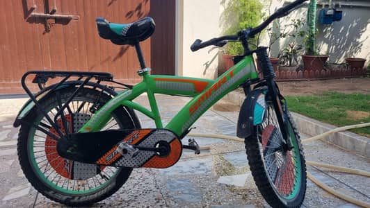 imported cycle size 20