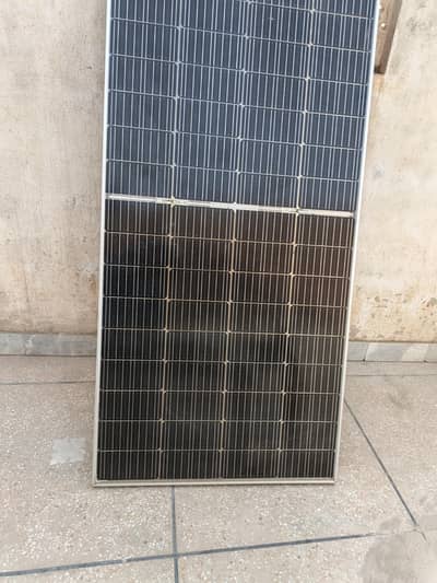 solar palt