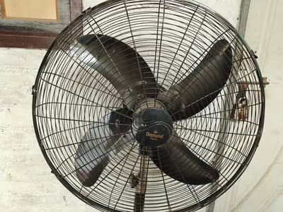 New Fan