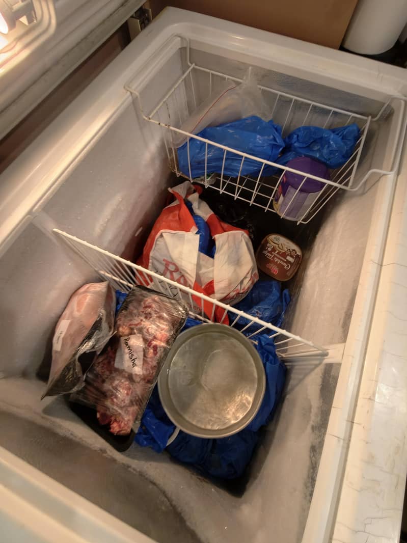 Waves Freezer 1
