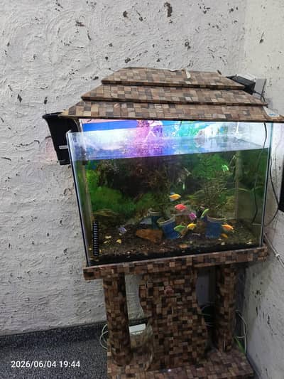 aquarium with fishes