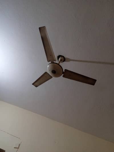 2 x ceiling Fans