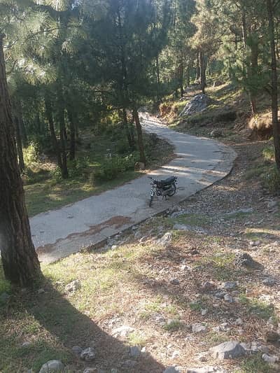 21 Kanal Beautiful Plot For Sale